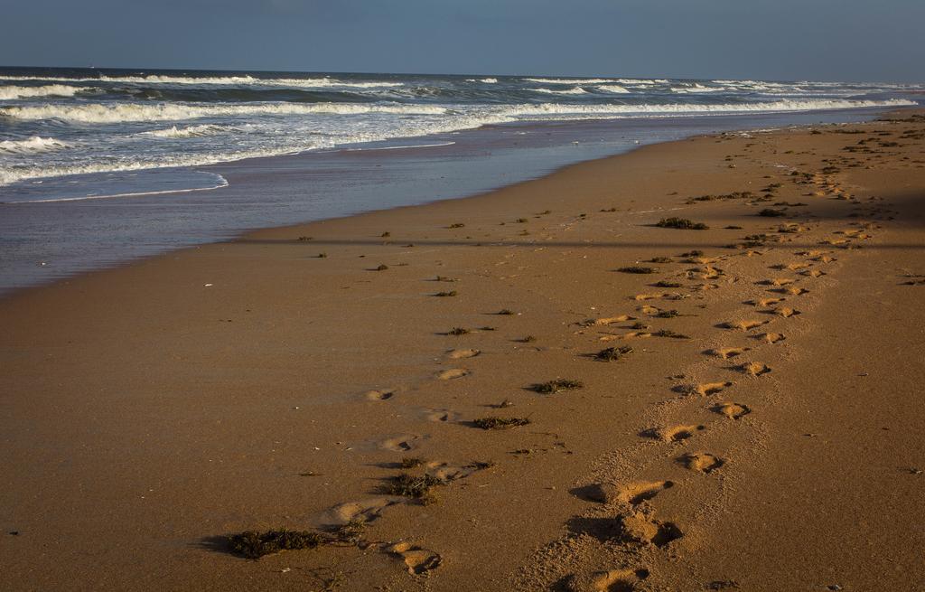 View The Ocean At Flagler Beach, Florida Buitenkant foto